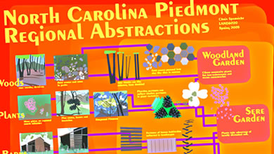 North Carolina Piedmont Regional Elements Abstraction